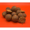 Bouillettes spicy liver quali baits