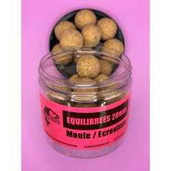 Equilibrées Moule ecrevisse